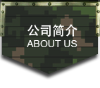 軍事模型